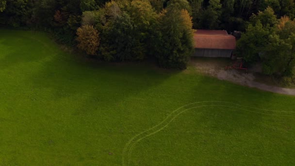 Idyllic House Placed Edge Green Forest Arial Look Shot Alp — 비디오