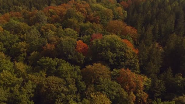 Look Tilt Shot Drone Autumn Colored Forest Bavarian Metropole Munich — Vídeo de stock