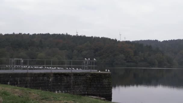 Gulls Rest Reservoir Yorkshire Wide Panning Shot — ストック動画