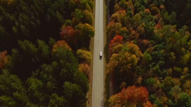 Autumn Colors Look Aerial Shot Driving Car Oncoming Traffic Sunny — 图库视频影像