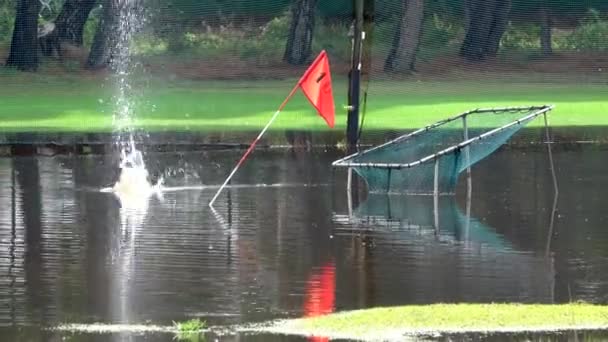 Golf Ball Falls Water Jump Times Flooded Driving Range Flag — Stock video