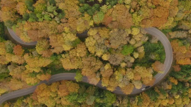 Lorrys Driving Tight Curve Autumn Colored Trees Turn Street Authentic — 图库视频影像