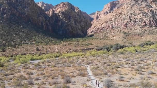 Hiking Red Rock National Conservation Area Ice Box Canyon — Stock Video