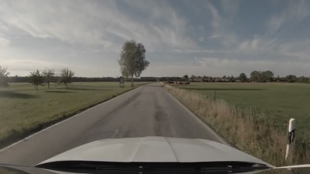 Driving Rural Road Passing Some Horses Next Street Summertime Landscape — Stockvideo