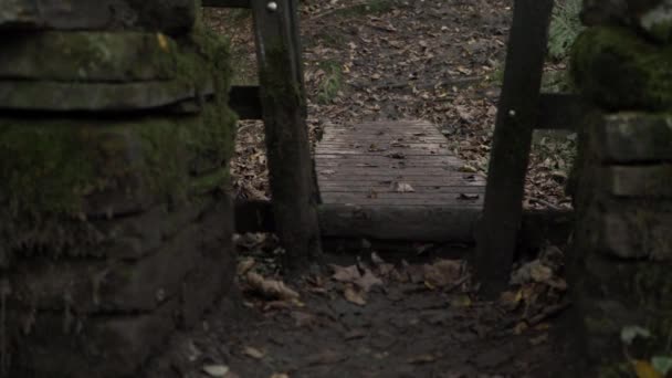 Muddy Wooden Stile Pathway Countryside Woodland Zoom Shot — Video