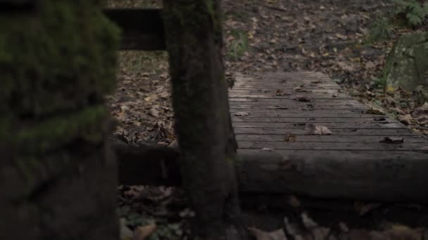 Muddy Wooden Stile Pathway Countryside Woodland Medium Panning Shot — Video