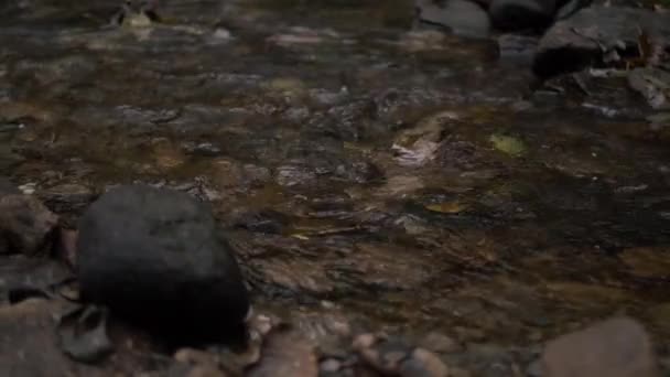 Natural Shallow Stream Water Flowing Rocks Pebbles Medium Panning Shot — 图库视频影像