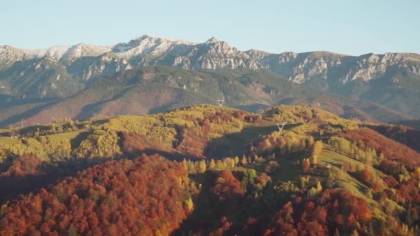 Kleurrijk Boslandschap Het Najaar Het Piatra Craiului Gebergte Roemenië Luchtfoto — Stockvideo