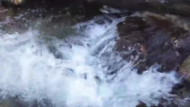 Clear Fresh Water Stream Mountains Romania Close — ストック動画