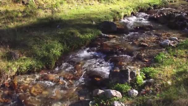 Rocks Stream Smooth Flowing Water Piatra Craiului Mountain Brasov County — ストック動画