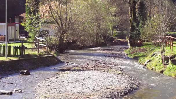 Rocky River Bed Calm Water Flowing Countryside Piatra Craiului Brasov — Vídeo de Stock