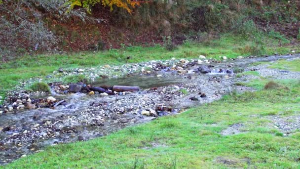 Shallow Stream Flowing Stones Surrounding Grass Base Hill Romania Static — Video