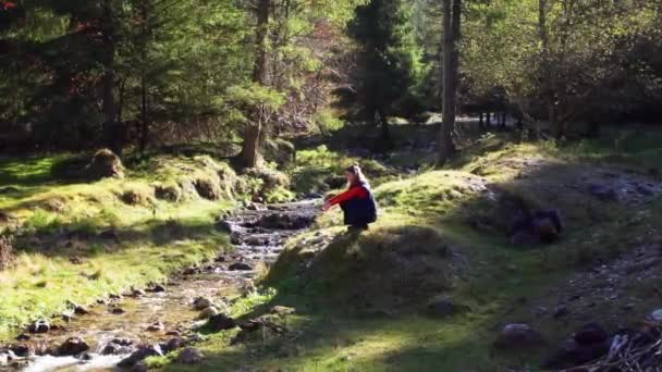 Woman Sitting Next Flowing Stream Meadows Bright Sunlight Piatra Craiului — Vídeo de Stock