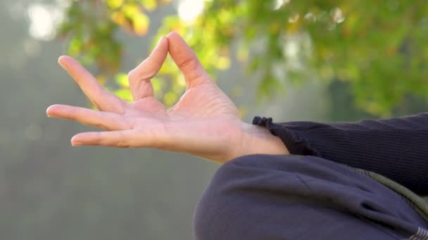 Woman Yoga Pose Puts Removes Hand Nature Background — Vídeo de Stock