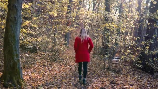 Kırmızı Ceketli Güzel Kız Turuncu Kahverengi Sonbahar Ormanlarının Ortasında Parlak — Stok video
