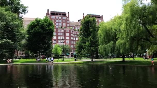 Ride Swan Boats Boston Public Garden Panning Shot Seen Pond — Stock Video
