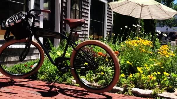 Usa Suburban Garden Hideaway Bicycle Parasol Yellow White Flowers Newport — Stockvideo