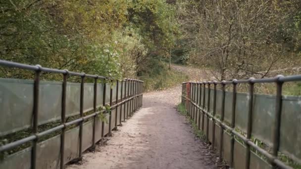 Walking Empty Bridge Enter Woodland Countryside — Vídeo de Stock