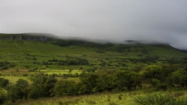 Time Lapse Morning Mist Rolling Green Hills Tree Landscape Foreground — Vídeo de Stock