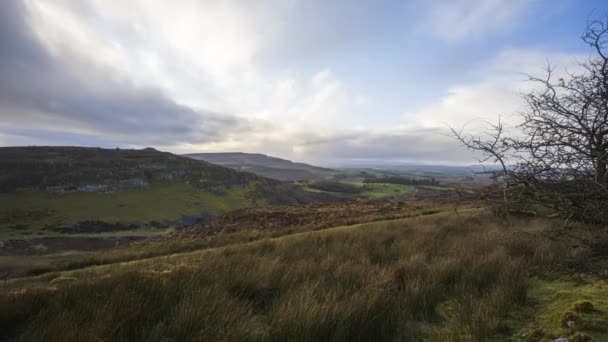 Time Lapse Rural Remote Landscape Grass Trees Rocks Day Hills — Stockvideo