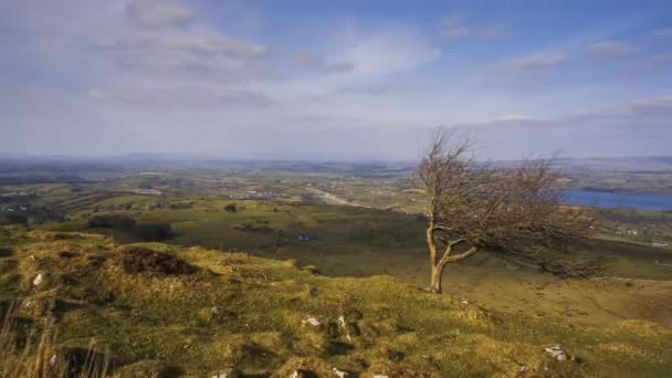 Time Lapse Rural Remote Landscape Grass Trees Rocks Day Hills — Stockvideo