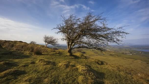 Time Lapse Rural Remote Landscape Grass Trees Rocks Day Hills — Video Stock