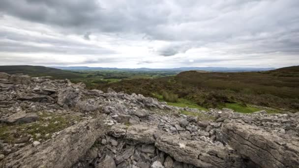 아일랜드 슬라이고 카로우킬 언덕에서 외딴곳에서 나무와 바위들 이지남에 황폐되었다 — 비디오