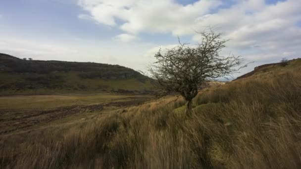 Time Lapse Rural Remote Landscape Grass Trees Rocks Day Hills — Stock videók