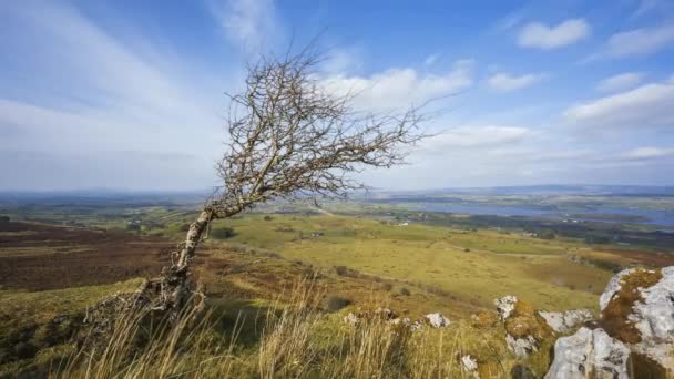 Time Lapse Rural Remote Landscape Grass Trees Rocks Day Hills — Wideo stockowe