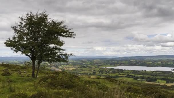 Time Lapse Rural Remote Landscape Grass Trees Rocks Day Hills — Stockvideo