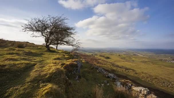 Time Lapse Rural Remote Landscape Grass Trees Rocks Day Hills — 图库视频影像