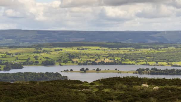 Caducidad Del Paisaje Rural Naturaleza Agrícola Durante Día Irlanda — Vídeo de stock