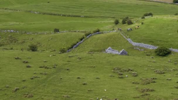 Időeltolódás Vidéki Mezőgazdasági Táj Nap Folyamán Írországban — Stock videók