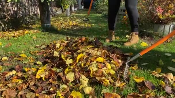 Sweeping Dry Leaves Messy Autumn Fall Season Garden — Stock Video