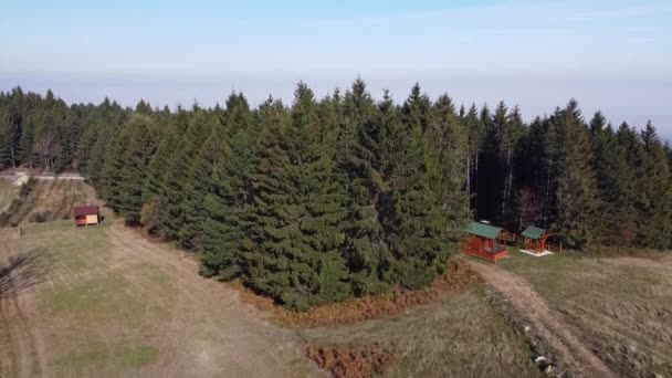 Aerial Footage Top Coniferous Forest Beautiful Mountain Range Fogy Valley — Stock video