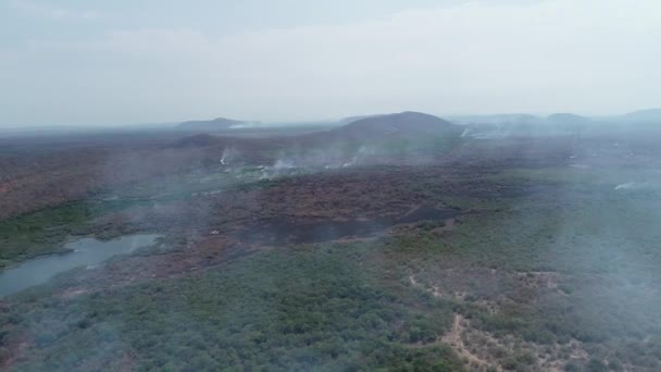 Pantanal Burning Wildfire Smoke Burnt Forest — Video Stock