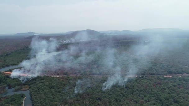 Smoke Forest Pantanal Brazil Aerial Shot — Vídeos de Stock