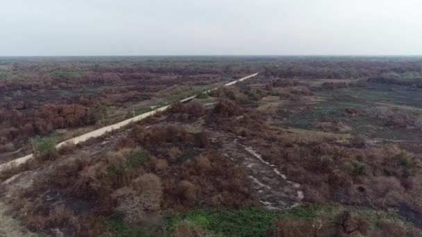 Pantanal Wildfire Burnt Forest Black Vegetation Aerial Shot Transpantaneira Road — Stockvideo
