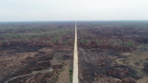 Transpantaneira Road Pantanal Fire Black Vegetation — стоковое видео