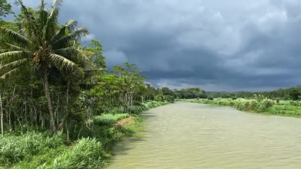 Sunlight Tropical Lush Muddy River Stormy Clouds Skyline Static View — Stockvideo