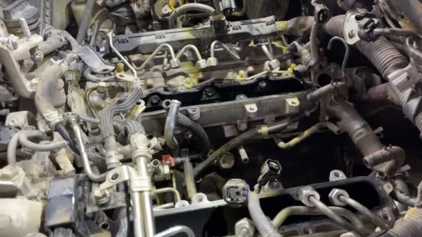 Looking Engine Toyota Series Landcruiser — Stock video