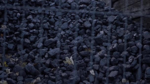 Coal Supply Steam Power Stored Outdoors Medium Tilting Shot — Vídeo de Stock