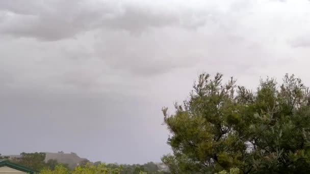 Stormwolken Bewegen Zich Groene Struiken — Stockvideo