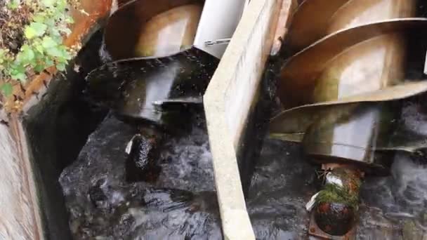 Screws Pumps Performing Sewage Cleaning — Stok video