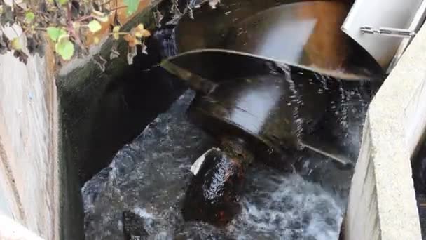 Screw Pump Used Cleaning Sewage Operation — Stock videók