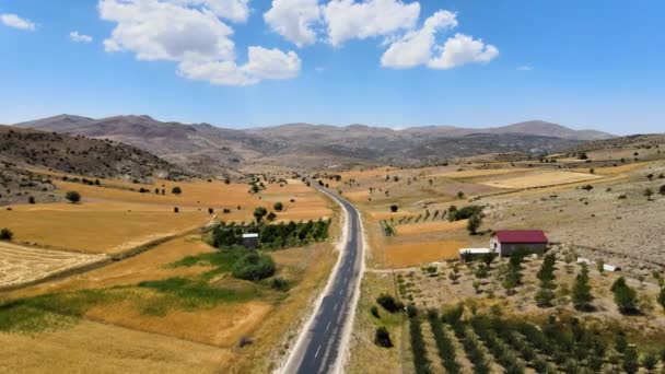 Flying Drone Road Lying Hills Which Natural Terraces Lonely Farmhouse — стокове відео