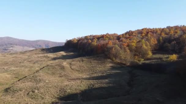 Aerial View Hills Autumn Season Fall Colors Forest Autumn Season — Vídeo de Stock