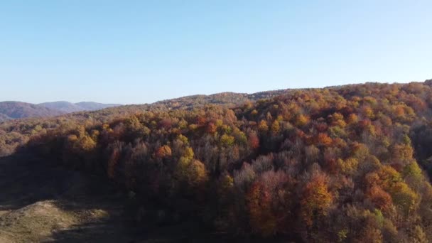 Vista Aérea Las Colinas Temporada Otoño Colores Otoño Bosque Temporada — Vídeos de Stock