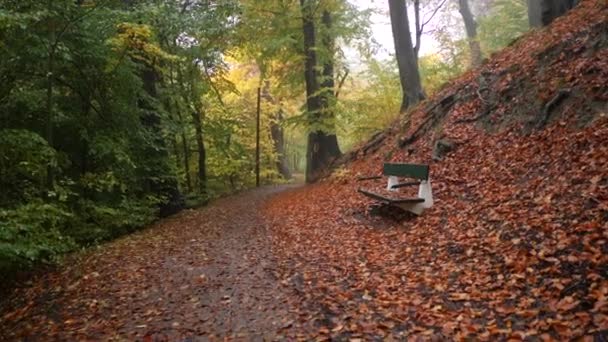 Autumn Parkbench Forest — Vídeo de Stock