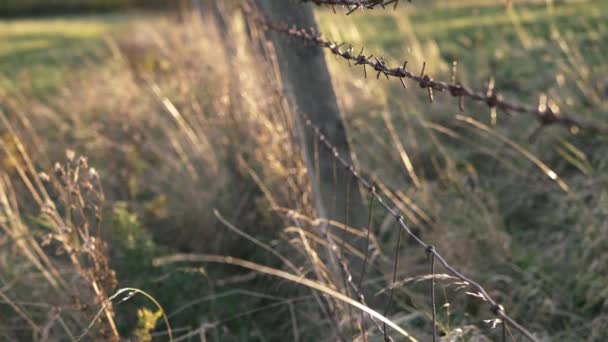 Barbed Wire Wooden Fence Farmland Wide Tilting Shot — Vídeo de stock